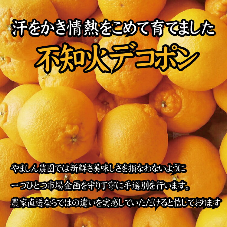【ふるさと納税】＼農家直送／こだわりのデコポン不知火 約5kg 有機質肥料100%　※2026年2月中旬より順次発送予定（お届け日指定不可）/ デコポン 不知火 みかん 有田みかん サムネイル2