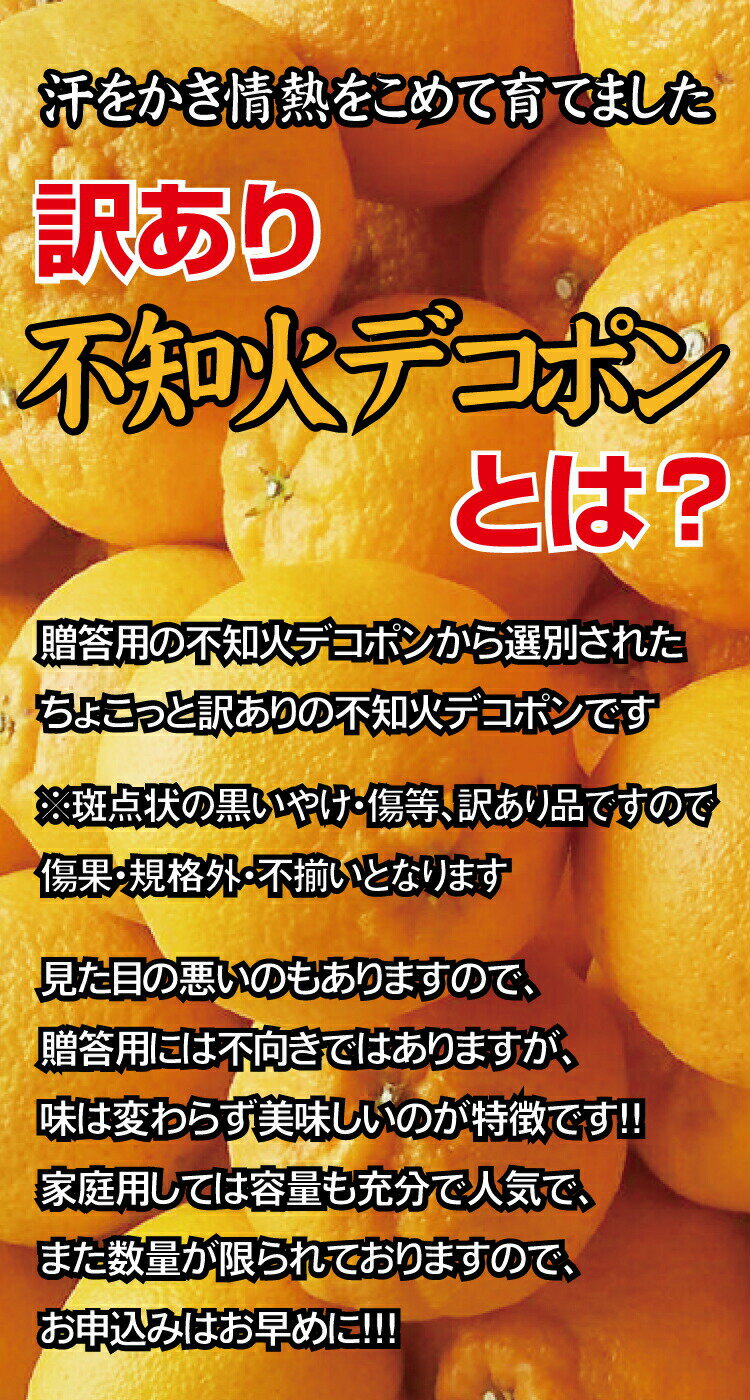 【ふるさと納税】 《 額田農園限定レビューキャンペーン対象 》【訳あり】ちょこっと訳あり不知火デコポン 5kg 先行予約 訳あり デコポン みかん ※2026年2月中旬～4月中旬に発送予定（お届け日指定不可） 不知火 しらぬい デコポン 柑橘 サムネイル2