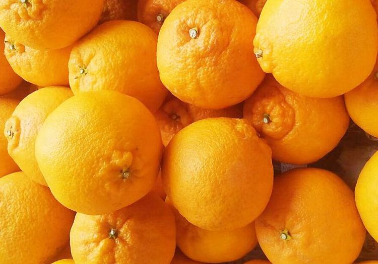 【ふるさと納税】 《 額田農園限定レビューキャンペーン対象 》【訳あり】ちょこっと訳あり不知火デコポン 5kg 先行予約 訳あり デコポン みかん ※2026年2月中旬～4月中旬に発送予定（お届け日指定不可） 不知火 しらぬい デコポン 柑橘 サムネイル3