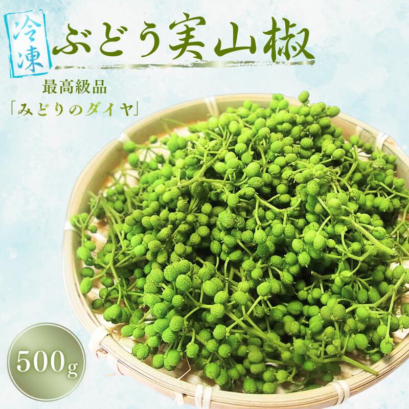 山椒 冷凍 ぶどう生実山椒 500g 《 レビューキャンペーン 実施中 ! 》/ 山椒 野菜 冷凍 香辛料 調味料 スパイス 青実山椒 冷凍便