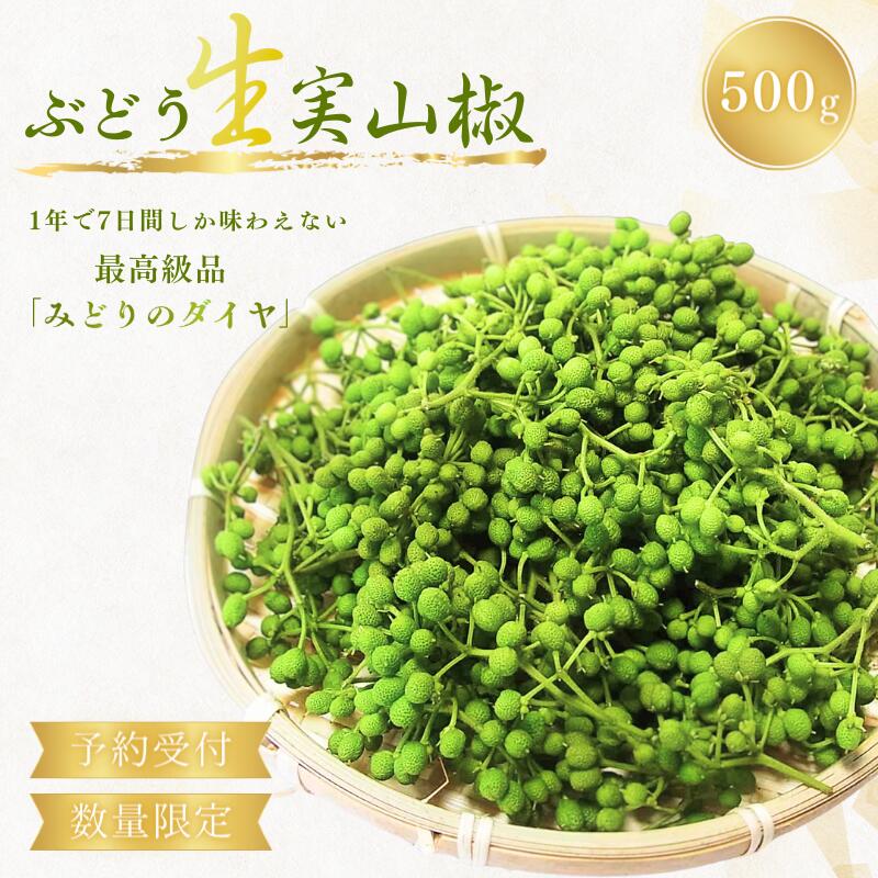 《先行予約》 ぶどう生山椒 500g※離島への配送不可 ※2026年5月中旬発送予定 / 山椒 ぶどう 生山椒 調味料 スパイス 先行予約 数量限定 短期間
