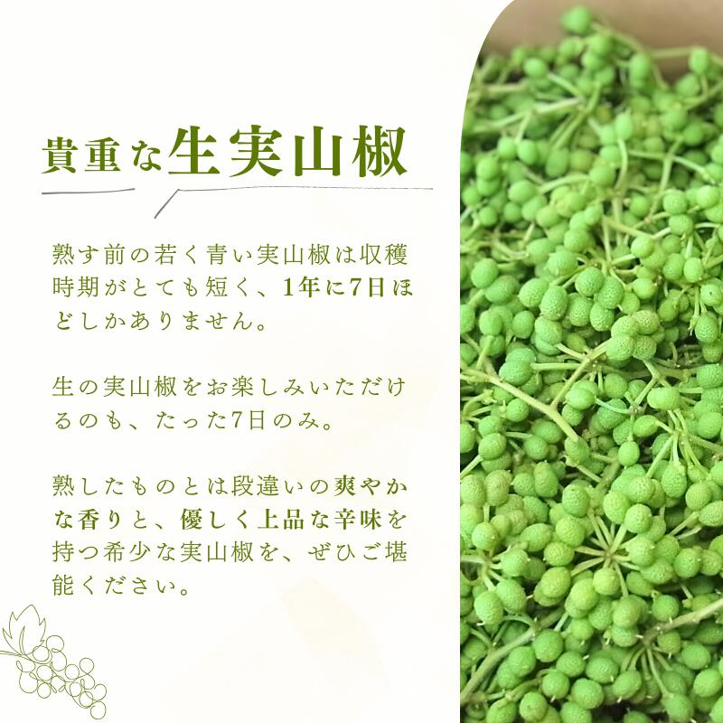 【ふるさと納税】《先行予約》 ぶどう生山椒 500g※離島への配送不可 ※2026年5月中旬発送予定 / 山椒 ぶどう 生山椒 調味料 スパイス 先行予約 数量限定 短期間 - 画像3