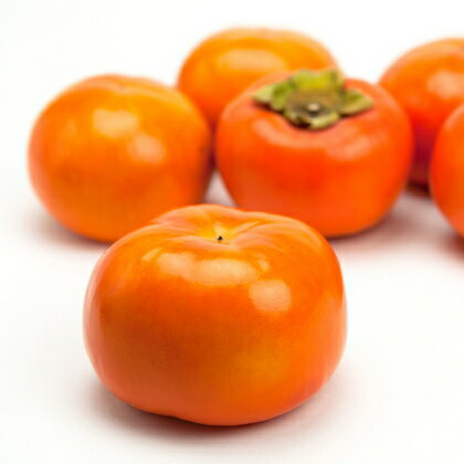 【ふるさと納税】 和歌山の富有柿　秀品　約7.5kg　【2025年10月下旬〜11月下旬頃順次発送】（fr-03）【先行予約】 サムネイル3