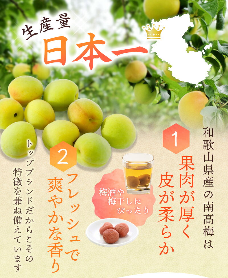 【ふるさと納税】 紀州熟 南高梅 青梅 (選べるサイズ S〜4L・選べるキロ数 約2〜10Kg) 【2026年6月上旬〜順次発送予定】【和歌山県産 朝採り生うめ ウメ シロップ・ジュース・フルーツ 果物 くだもの 食品 人気 おすすめ クール便送料無料】 サムネイル2