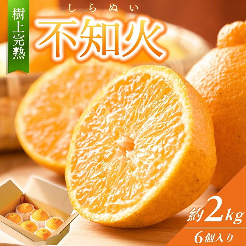 【限定】 不知火 樹上完熟 約2kg (6個入) 【2026年2月中旬頃から発送】 不知火 しらぬい 果物 くだもの 柑橘 フルーツ 先行予約 数量限定 お取り寄せ 人気 和歌山県 かつらぎ町 くしがきの里 送料無料 【KG6】