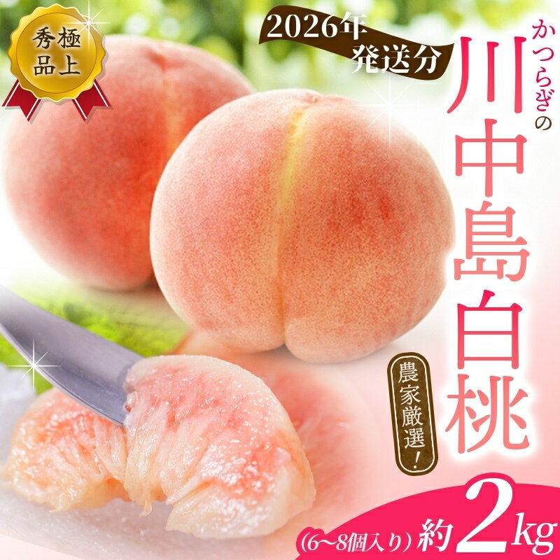 【先行予約】 桃 川中島白桃 約2kg 6〜8個入 ☆秀品☆ 【2026年7月末頃から順次発送】こだわり農家厳選 もも モモ 果物 くだもの フルーツ 先行予約 白桃 人気 和歌山の桃 贈答 贈り物 数量限定 お取り寄せ かつらぎ町 くしがきの里 送料無料 【KG13】