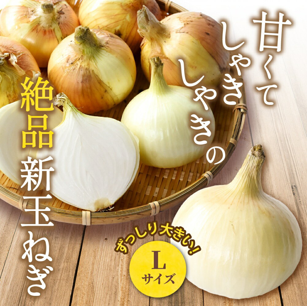 【ふるさと納税】 和歌山県産新玉ねぎ約10kg　Lサイズ 約25個入り　こだわり農家厳選！【2026年4月末頃～6月中旬に発送予定】人気 おすすめ たまねぎ 玉ねぎ 玉葱 タマネギ オニオン スープ サラダ 国産 野菜 新鮮 ビッグサイズ 大きい BBQ - 画像2