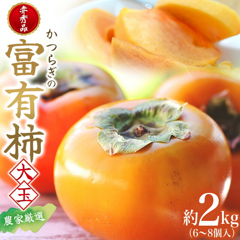 先行予約 富有柿 赤秀品 大玉 6個～8個入 こだわり農家厳選【2026年10月末から11月末頃に順次発送予定】【KG25】 | 柿 かき フルーツ 果物 くだもの 食品 人気 おすすめ 送料無料 産地直送