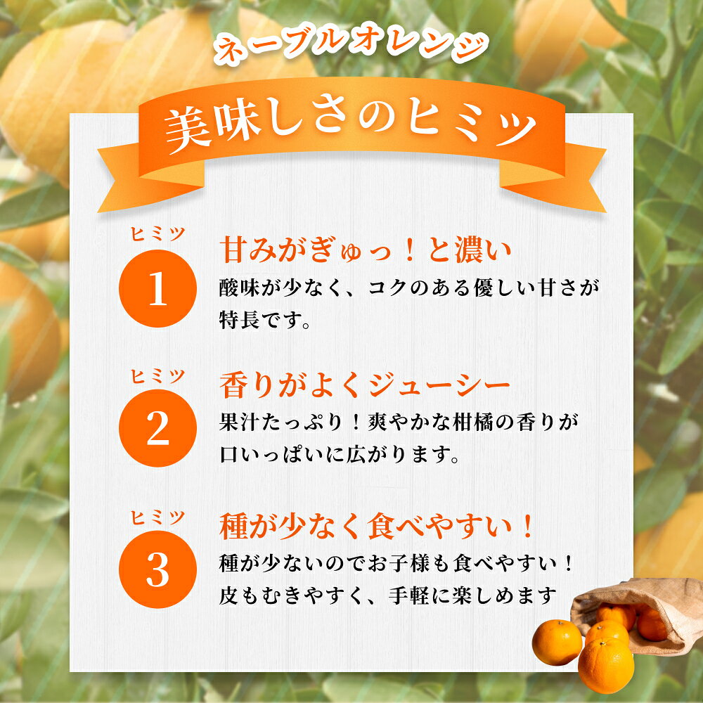 【ふるさと納税】【家庭用】 森本農園の手選別 ネーブルオレンジ 約1.5～10kg 和歌山県産 サイズ混合 【北海道・沖縄・離島配送不可】【2026年1月上旬～2月中旬頃に順次発送】【RN16】 サムネイル3