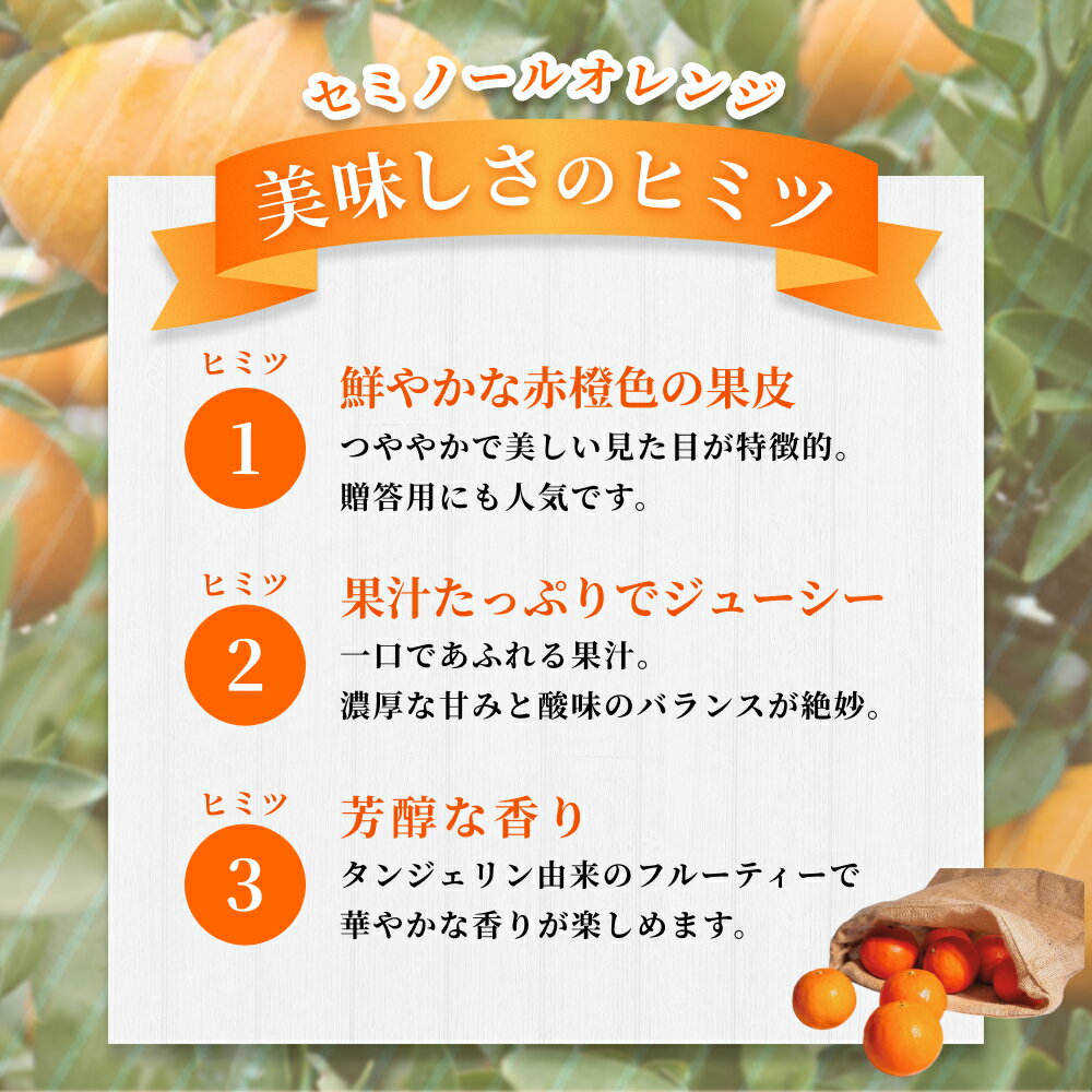 【ふるさと納税】【家庭用】 森本農園の手選別 セミノールオレンジ 約1.5～10kg 和歌山県産 サイズ混合 【北海道・沖縄・離島配送不可】【2026年4月中旬～5月中旬頃に順次発送】【RN26】 | みかん 蜜柑 フルーツ 果物 くだもの 食品 人気 おすすめ 送料無料 サムネイル3