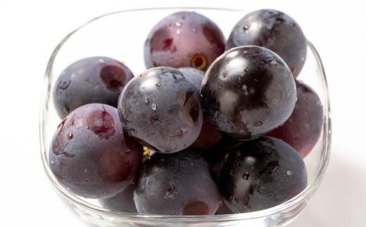 【ふるさと納税】 【新鮮・産直】和歌山かつらぎ町産たねなしピオーネ約1.2kg／約2kg／約3kg 【2026年8月中旬～2026年9月中旬頃に順次発送予定】 | フルーツ 果物 くだもの 食品 人気 おすすめ 送料無料 サムネイル3