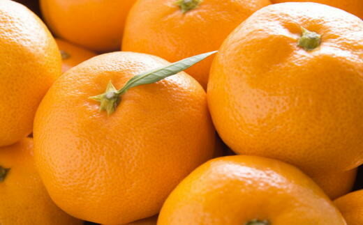 【ふるさと納税】 【産直・秀品】和歌山下津みかん約6kg（2Lサイズ）【2025年11月中旬頃〜2026年1月中旬に順次発送】【TM75】 サムネイル2