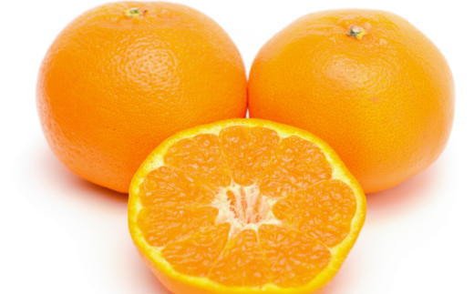 【ふるさと納税】 【厳選・濃厚】紀州有田産のはるみ約4kg(サイズおまかせ) 【2026年1月下旬～2026年2月中旬頃より順次発送】【TM27】 | フルーツ 果物 くだもの 食品 人気 おすすめ 送料無料 サムネイル2