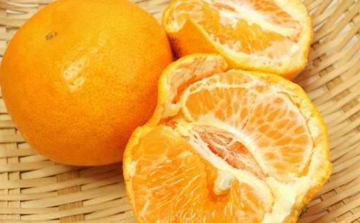 【ふるさと納税】 【厳選・濃厚】紀州有田産のはるみ約4kg(サイズおまかせ) 【2026年1月下旬～2026年2月中旬頃より順次発送】【TM27】 | フルーツ 果物 くだもの 食品 人気 おすすめ 送料無料 サムネイル3