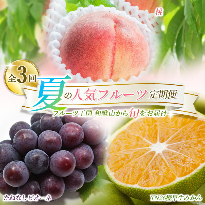 【定期便全3回】産直・厳選フルーツ定期便【TM190】 | フルーツ 果物 くだもの 食品 人気 おすすめ 送料無料