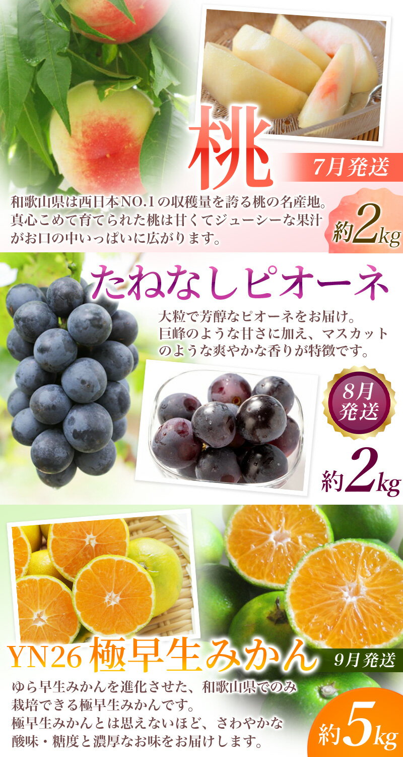 【ふるさと納税】 【定期便全3回】産直・厳選フルーツ定期便【TM190】 | フルーツ 果物 くだもの 食品 人気 おすすめ 送料無料 サムネイル2