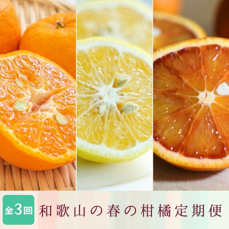 定期便全3回 【2月・3月・4月発送】 和歌山の春の柑橘 （ポンカン・はるか・ブラッドオレンジ）秀品【TM173】 | フルーツ 果物 くだもの 食品 人気 おすすめ 送料無料