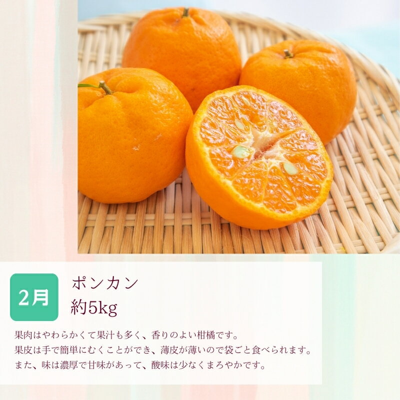 【ふるさと納税】 定期便全3回 【2月・3月・4月発送】 和歌山の春の柑橘 （ポンカン・はるか・ブラッドオレンジ）秀品【TM173】 | フルーツ 果物 くだもの 食品 人気 おすすめ 送料無料 サムネイル2