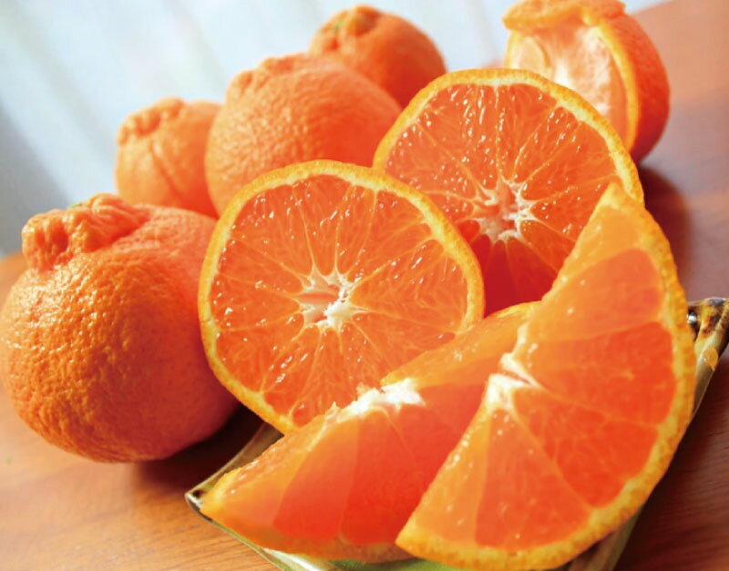 【ふるさと納税】 完熟紀州不知火 約3kg 約5kg 【2026年2月下旬頃〜2026年3月中旬頃に順次発送予定】【先行予約】 | フルーツ 果物 くだもの 食品 人気 おすすめ 送料無料 産地直送 サムネイル2