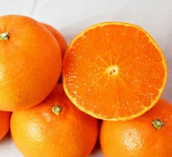 【ふるさと納税】 紀州和歌山産 せとか 約3kg 【2026年2月下旬頃〜2026年3月下旬頃発送予定】【先行予約】 | フルーツ 果物 くだもの 食品 人気 おすすめ 送料無料 産地直送 サムネイル2