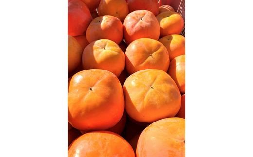 【ふるさと納税】 【訳あり・ご家庭用】平核無柿（ひらたねなしがき）約7.5kg 和歌山秋の味覚【2026年10月上旬頃～11月上旬頃に順次発送予定】【UT32w】 サムネイル2