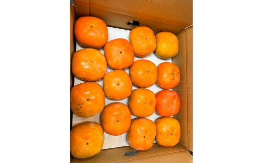 【ふるさと納税】 【訳あり・ご家庭用】平核無柿（ひらたねなしがき）約7.5kg 和歌山秋の味覚【2026年10月上旬頃～11月上旬頃に順次発送予定】【UT32w】 サムネイル3