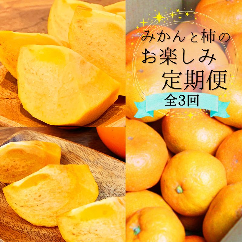 【10・11・12月 全3回】和歌山産 みかんと柿のお楽しみ 定期便 【魚鶴】【UT111】 | フルーツ 果物 くだもの みかん 柿 食品 人気 おすすめ 送料無料