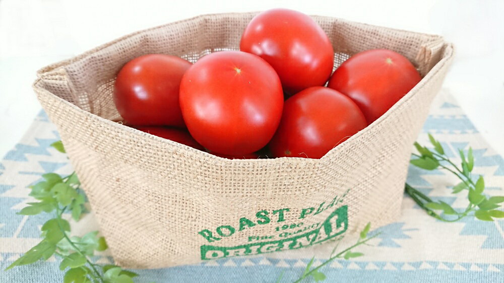 【ふるさと納税】【旨すぎる】こだわり絶品高原とまと【フルーツトマト約2kg】【2026年7月中旬～2026年10月下旬】/ とまと トマト 完熟 和歌山 甘い 先行受付 ふるーつとまと 旬 国産 - 画像2