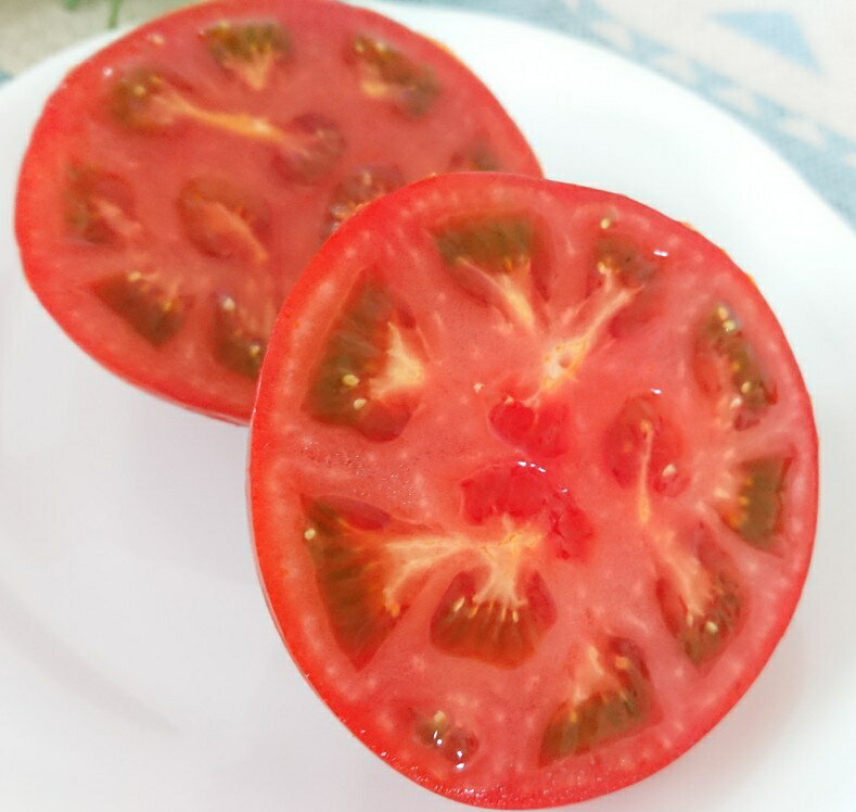 【ふるさと納税】【旨すぎる】こだわり絶品高原とまと【フルーツトマト約2kg】【2026年7月中旬～2026年10月下旬】/ とまと トマト 完熟 和歌山 甘い 先行受付 ふるーつとまと 旬 国産 - 画像3