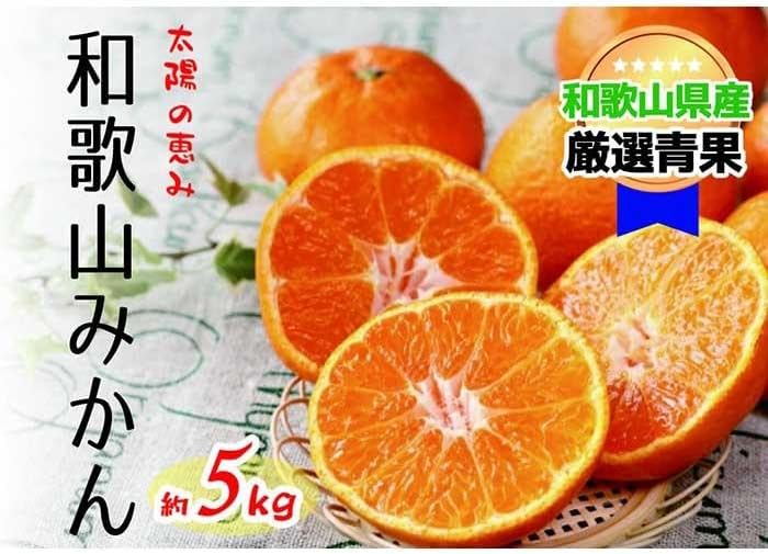 【太陽の恵み】和歌山みかん(約5kg) 【2025年12月上旬〜2026年1月下旬発送】