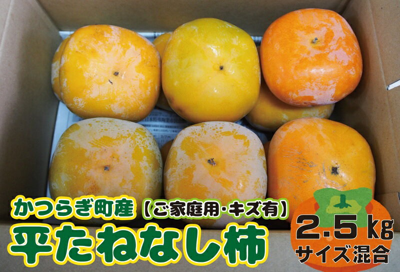 【訳あり・ご家庭用】たねなし柿　ご家庭用（傷有り）約2.5kg【2025年10月上旬から2025年11月上旬順次発送】 | フルーツ 果物 くだもの 食品 人気 おすすめ 送料無料 先行予約 数量限定 種無し たねなし かき