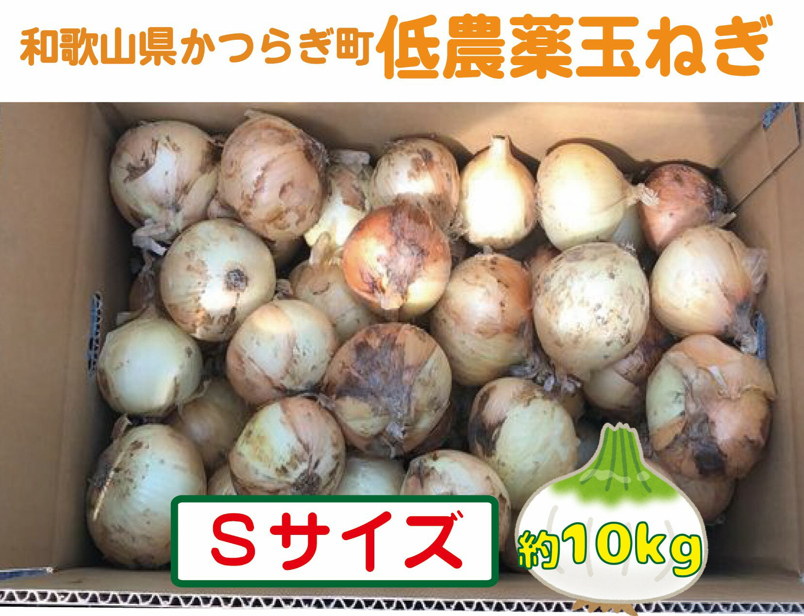 【2026年発送分・先行予約】農家さん直送　低農薬玉ねぎSサイズ　約10kg【2026年4月中旬～7月中旬発送予定】
