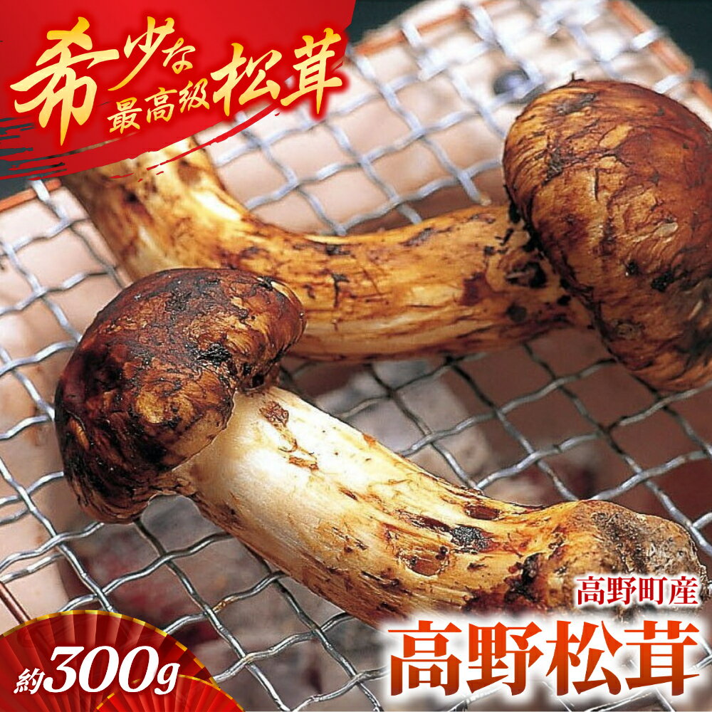 【2026年発送分】香り・歯応え・味ともに最高級！希少な国産松茸【高野松茸】約300g【化粧箱入】【2026年10月中旬〜11月中旬頃発送予定】