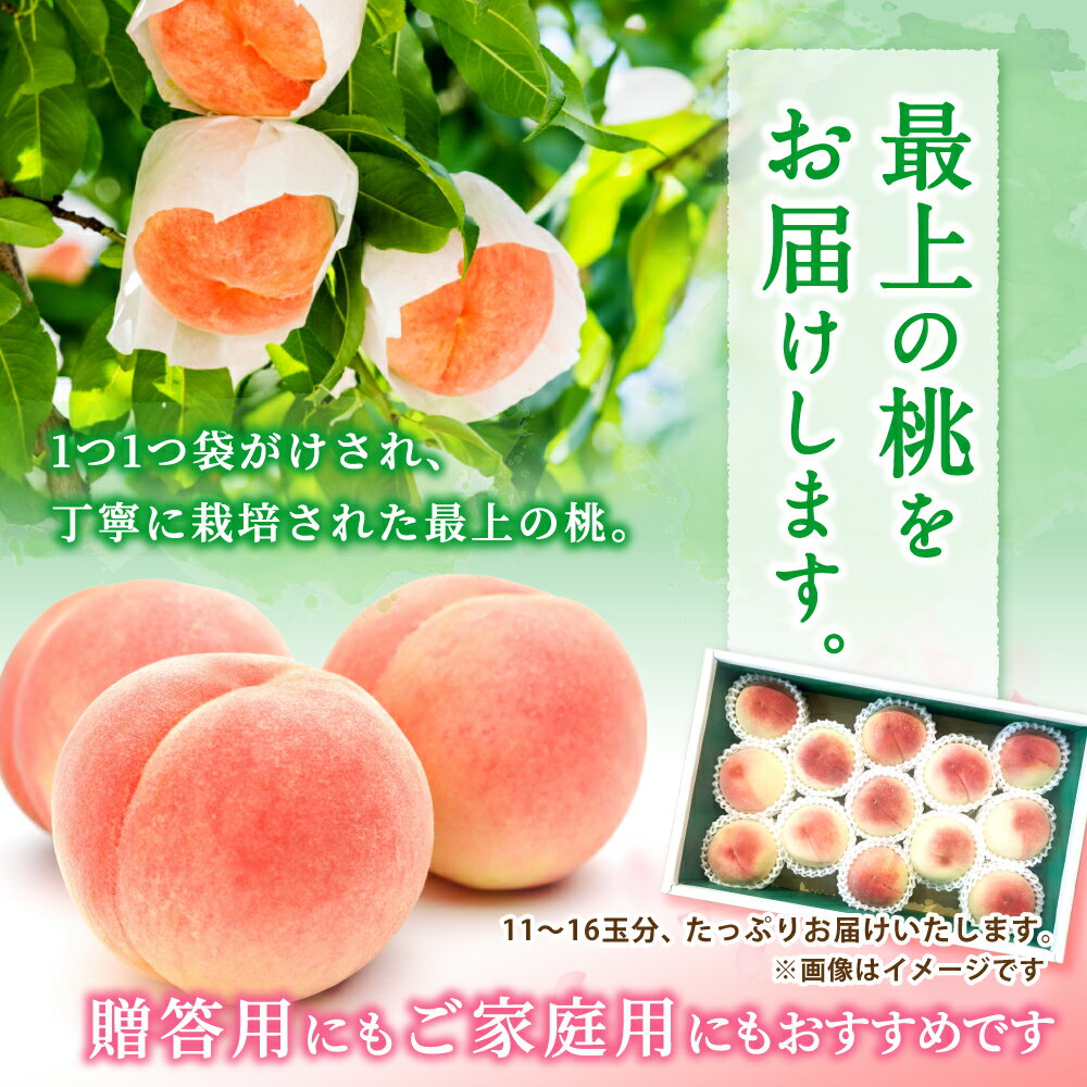 【ふるさと納税】 ☆2026年先行予約☆ 和歌山県産 白鳳 桃 11～15玉入り 秀品【2026年6月下旬から7月下旬ごろ発送】/ かつらぎ町 和歌山県産 桃 モモ 白鳳 フルーツ 果物 くだもの 人気 産地直送 厳選 甘い 予約 サムネイル3