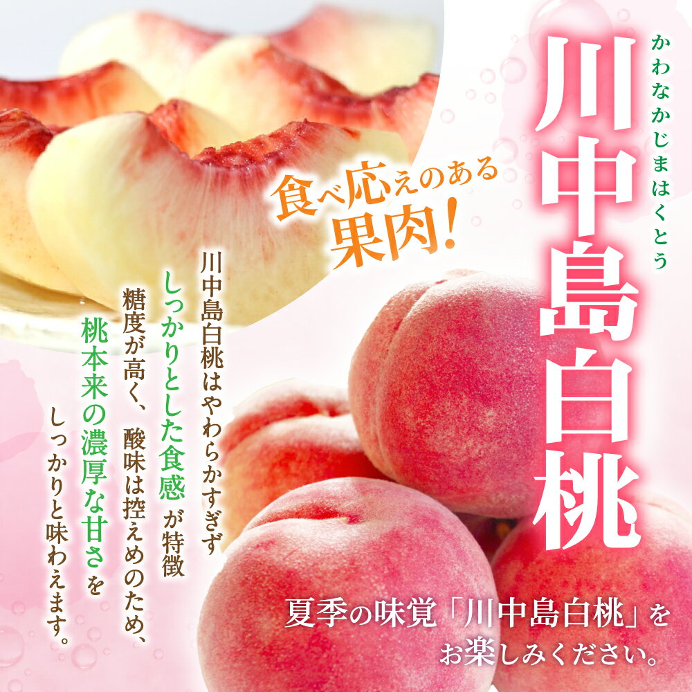 【ふるさと納税】 ☆2026年先行予約☆ 和歌山県産 川中島白桃 5〜8玉入り 秀品 先行予約【2026年7月下旬から8月中旬ごろ発送】/ かつらぎ町 和歌山県産 桃 モモ 川中島 フルーツ 果物 くだもの 人気 産地直送 厳選 甘い 予約 サムネイル2