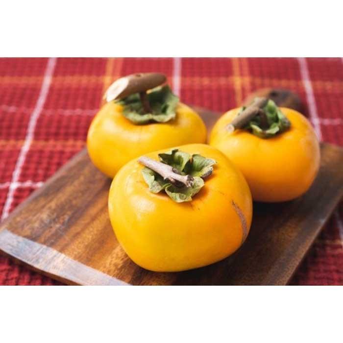 吊るし柿用たね無渋柿T軸又はクリップ付紐付約14.5～15kg　約60～90個＜2026年10月中旬～11月上旬ごろ順次発送＞【ART12】 | フルーツ 果物 くだもの 食品 人気 おすすめ 送料無料