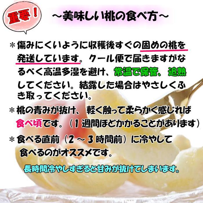 【ふるさと納税】【秀品】和歌山ブランド白桃 約2kg！2026年6月発送分【NGT5】 サムネイル3