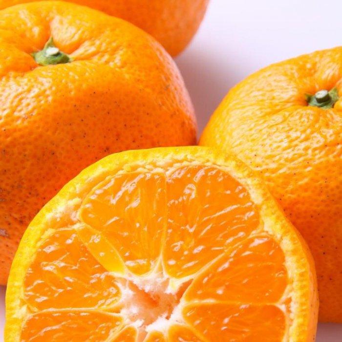 【ふるさと納税】[訳あり]和歌山有田みかん約5kg（S～Lサイズいずれかお届け）★2025年11月中旬頃より順次発送［TM81］ | 楽天ふるさと 納税 みかん ミカン 蜜柑 柑橘 柑橘類 かんきつ 果物 くだもの フルーツ 旬の果物 食品 食べ物 サムネイル2