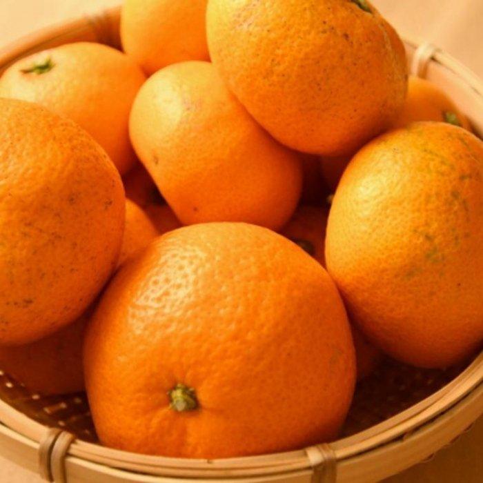 【ふるさと納税】[訳あり]和歌山有田みかん約5kg（S～Lサイズいずれかお届け）★2025年11月中旬頃より順次発送［TM81］ | 楽天ふるさと 納税 みかん ミカン 蜜柑 柑橘 柑橘類 かんきつ 果物 くだもの フルーツ 旬の果物 食品 食べ物 サムネイル3