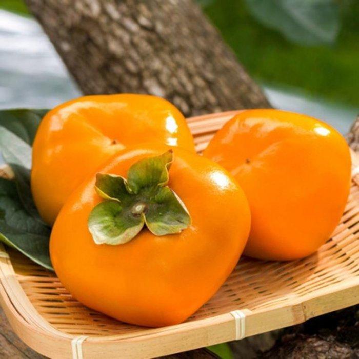 【ふるさと納税】和歌山産たねなし柿（サイズおまかせ）約7.5kg・秀品★2025年10月頃より順次発送［TM10］ | 和歌山県 和歌山 九度山町 楽天ふるさと納税 楽天ふるさと 納税 返礼品 支援品 柿 かき カキ フルーツ 果物 ふるーつ くだもの お取り寄せ ご当地 名産品 特産品 サムネイル2