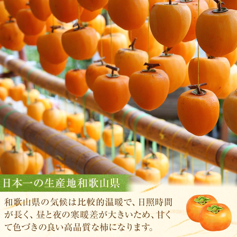 【ふるさと納税】あんぽ柿 70g×10個 | 九度山町 干し柿 和菓子用 高糖度 しっとり食感 人気 おすすめ 柿 スイーツ ドライフルーツ 和スイーツ 甘味 お茶請け おやつ ギフト お取り寄せ 送料無料 ふるさと納税 - 画像2