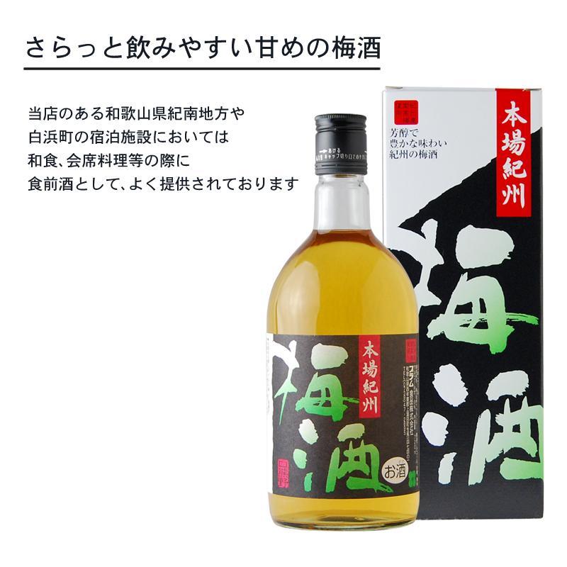 【ふるさと納税】本場紀州 梅酒 6本セット | 和歌山県 九度山町 和歌山 楽天ふるさと 納税 支援品 返礼品 酒 お酒 アルコール アルコール飲料 まとめ買い 家飲み 特産品 名産 お酒セット リキュール パーティー ホームパーティー ご当地 お取り寄せ 取り寄せ 自宅用 サムネイル3