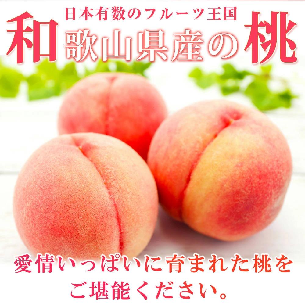 【ふるさと納税】秀品 紀州和歌山産の桃 約4kg　化粧箱入［2026年6月下旬より順次発送］［UT106］ | 和歌山 楽天ふるさと納税 楽天ふるさと 納税 返礼品 支援品 支援 返礼 フルーツ 果物 ふるーつ くだもの お取り寄せ ご当地 名産品 特産品 桃 もも 旬の果物 サムネイル2