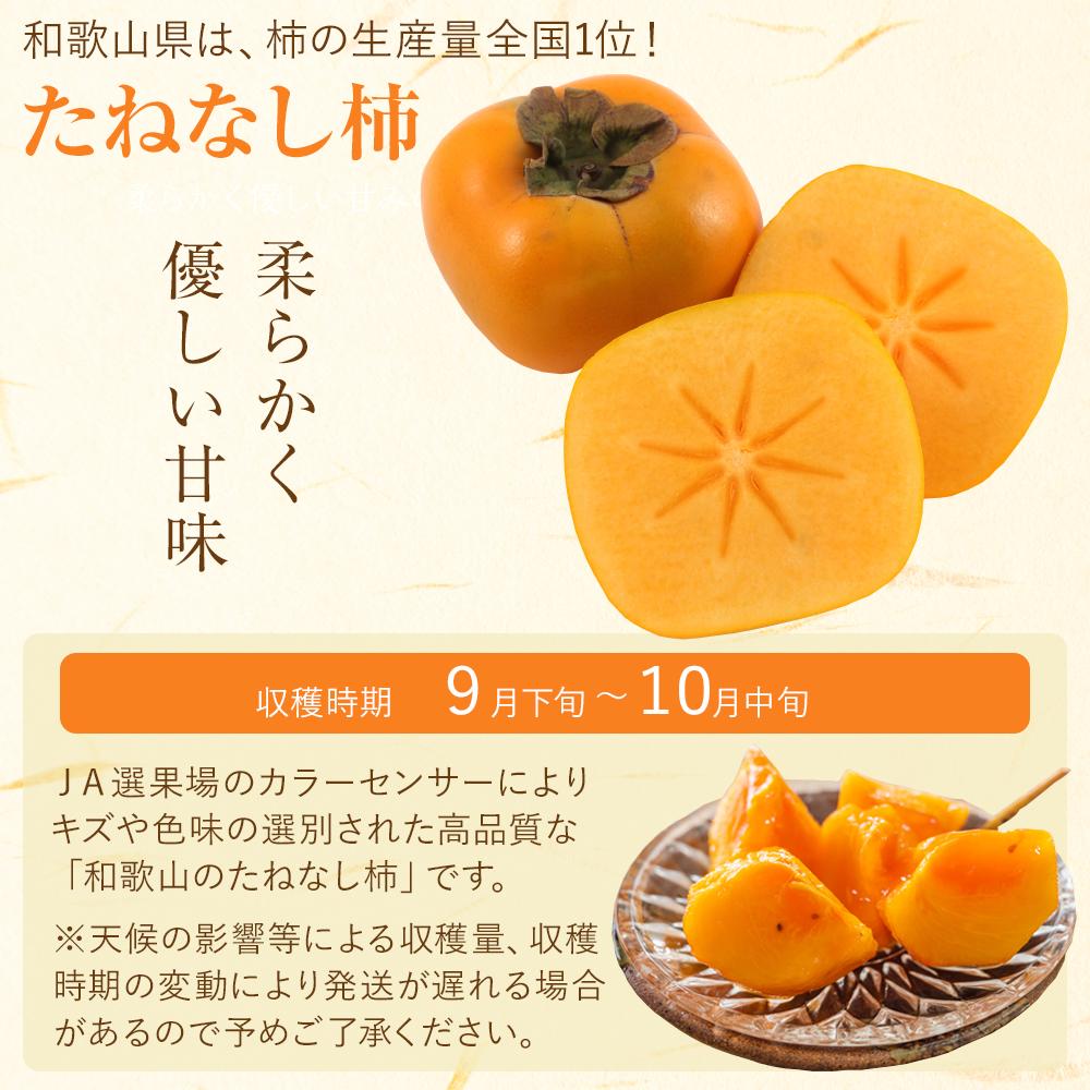 【ふるさと納税】【2026年発送】和歌山の たねなし柿 秀品 約7.5Kg L～4Lサイズ カラーセンサー選果 （和歌山県九度山町産） | 九度山町 高品質 種なし柿 大玉 人気 おすすめ 柿 フルーツ 果物 ギフト お取り寄せ 送料無料 ふるさと納税 - 画像2