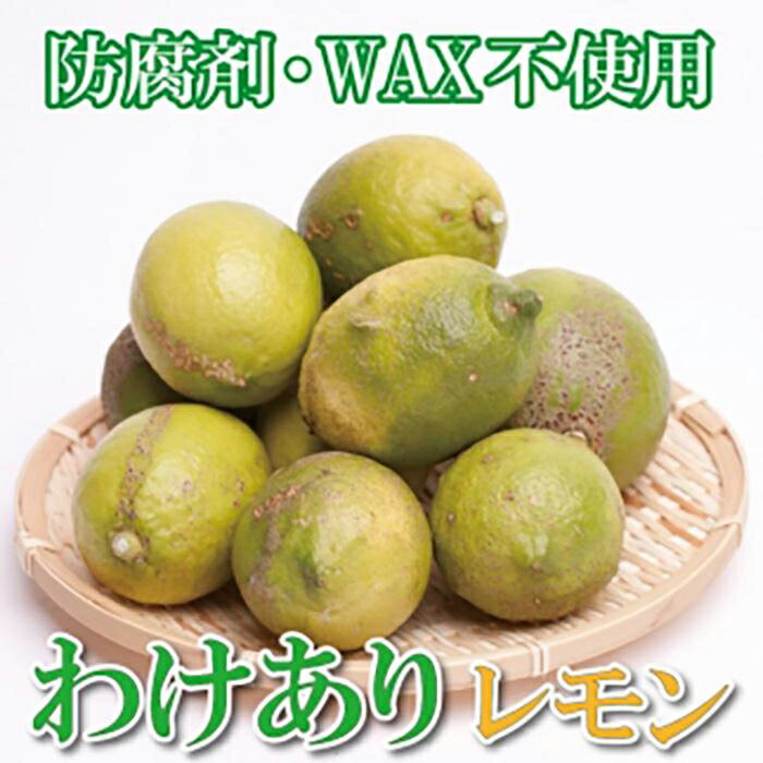 家庭用 レモン1kg+250g（傷み補償分）【和歌山有田産】【防腐剤・WAX不使用、安心の国産レモン】【わけあり・訳ありレモン】［IKE125］ | 和歌山県 和歌山 九度山町 楽天ふるさと 納税 果物 くだもの フルーツ 旬の果物 果実