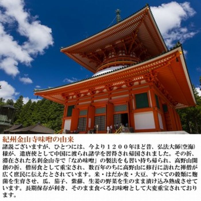 【ふるさと納税】こだわりの紀州金山寺味噌 瓊醤　たまみそ1100g | 和歌山県 和歌山 九度山町 ふるさと 納税 楽天ふるさと 支援 支援品 返礼品 お礼の品 名産 名産品 特産 特産品 九度山 和歌山県九度山町 味噌 みそ ミソ 紀州 お取り寄せ 取り寄せ 調味料 サムネイル3