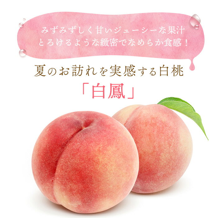 【ふるさと納税】和歌山県産 白鳳 桃 5～8玉入り 秀品 先行予約［2026年6月下旬以降発送］［MG6］ | 果物 もも モモ 果実 和歌山県 和歌山 九度山町 楽天ふるさと 納税 返礼品 支援 桃 くだもの お取り寄せ ご当地 フルーツ 特産品 名産品 お土産 旬の果物 ふるーつ 土産 サムネイル2