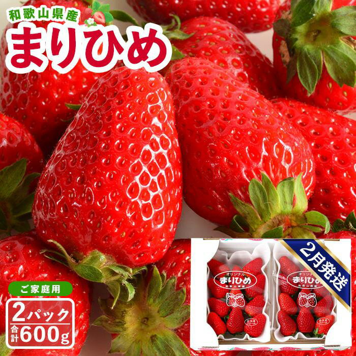 【ご家庭用（簡易包装）】和歌山県産まりひめ 1箱（2パック入り）【2026年2月お届け】［MG60］ | 和歌山 いちご イチゴ 苺 果物 くだもの フルーツ 旬の果物 食品 食べ物 食材 お取り寄せ 取り寄せ