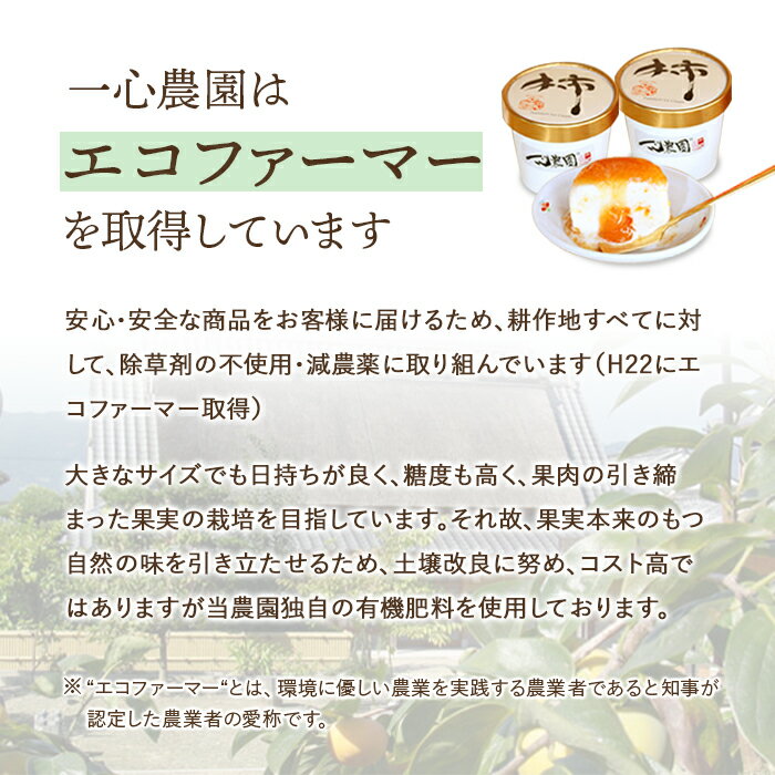 【ふるさと納税】一心農園の富有柿 家庭用 約1.8kg | フルーツ 和歌山県 和歌山 九度山町 ふるさと 納税 支援品 返礼品 富有柿 柿 かき 果物 くだもの お取り寄せ 取り寄せ 特産品 ご当地 果実 食品 食べ物 たべもの 和歌山の柿 和歌山県産 甘柿 県産品 お取り寄せフルーツ サムネイル3