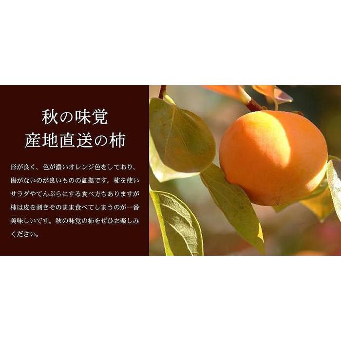 【ふるさと納税】和歌山の種なし柿　約7.5kg（秀品：サイズ・品種おまかせ）／紀伊国屋文左衛門本舗［TC4］ サムネイル2